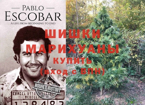 кокаин колумбия Белокуриха