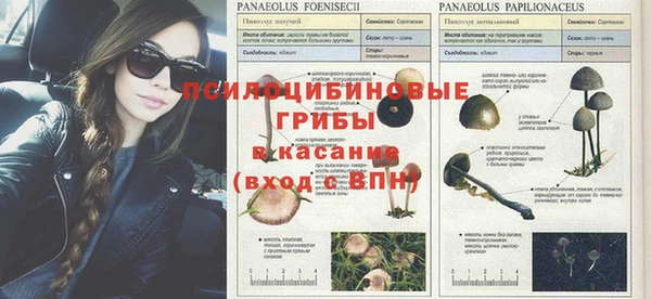 кокс Снежногорск
